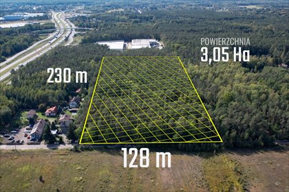 Sprzedam działkę 30 500 m² w Siestrzeni z lasem i potencjałem działka Siestrzeń, Szyszkowa