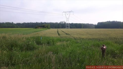 Działka budowlana na sprzedaż Bartków 2 700m2 Foto 4