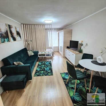 mieszkanie na wynajem 29m2 mieszkanie Świdnica