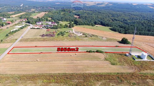 Działka budowlana na sprzedaż Hucisko, Modrzewiowa 5 956m2 Foto 4