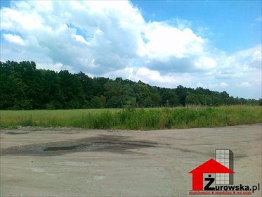 działka na sprzedaż 150000m2 działka Kędzierzyn-Koźle