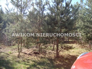 działka na sprzedaż 1500m2 działka Adamów-Parcel