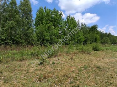 Działka budowlana 1509 m² z mediami w Czarnym Lesie działka Czarny Las