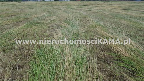 działka na wynajem 20323m2 działka Bielsko-Biała