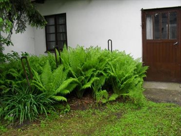 Dom na sprzedaż Mrowiska 140m2 Foto 3