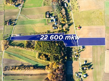 dom na sprzedaż 100m2 dom Stoki