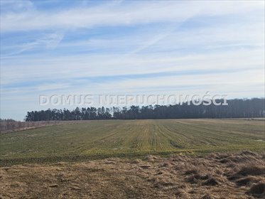 Działka 4500 m² z planem pod zabudowę jednorodzinną działka Polik