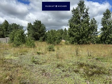 Polecam działkę 2214 m² nad Jeziorem Orzechowo w Warznie działka Warzno