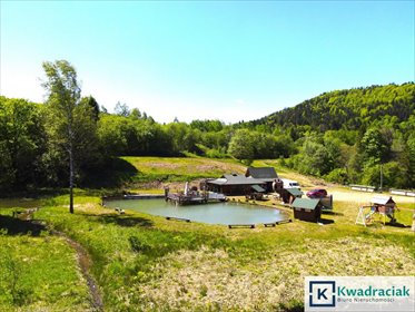 działka na sprzedaż 11659m2 działka Krzywe