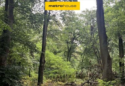 Do sprzedania przestronna działka 3117 m² przy rzece Świder działka Otwock, Górna