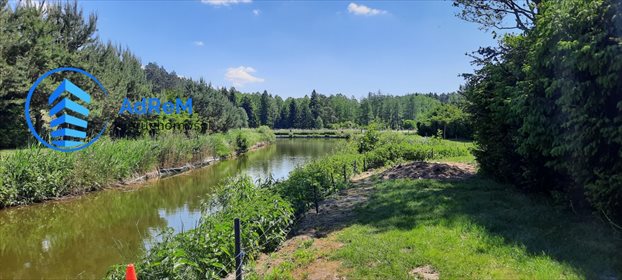 Działka rolna na sprzedaż Rybniki 6 410m2 Foto 4