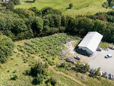 działka na sprzedaż 2928m2 działka Grzybno, Polna