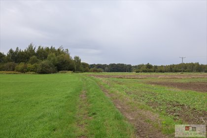 Działka 0,42 ha pod dom w otoczeniu natury - Nowa Jamka działka Nowa Jamka