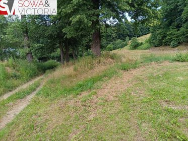Działka rolna 21 800 m² z lasami, media, dojazd - polecam! działka Pogorzała