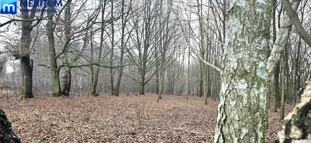 działka na sprzedaż 2000m2 działka Milanówek