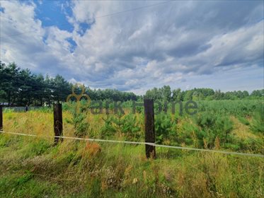 Działka budowlana na sprzedaż Borek 1 438m2 Foto 3