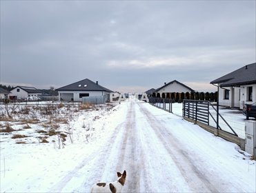 działka na sprzedaż 1005m2 działka Machnacz