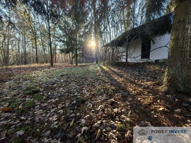 działka na sprzedaż 5000m2 działka Grabce Józefpolskie