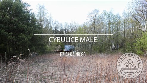 działka na sprzedaż 2500m2 działka Cybulice Małe