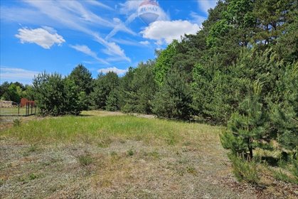 Działka 2630m2 z lasem i możliwością zabudowy w Skierniewicach działka Skierniewice, Gajowa