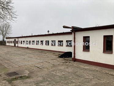 magazyn na sprzedaż 685m2 magazyn Lubiechowo