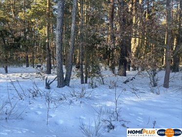 działka na sprzedaż 1000m2 działka Wólka Radzymińska