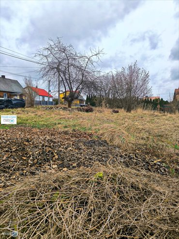 działka na sprzedaż 5000m2 działka Mniów, Serbinów