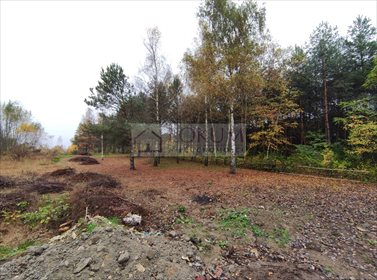 Działka budowlana na sprzedaż Radom, Godów 1 800m2 Foto 4