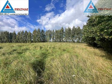 Polecam działkę 3089 m² z warunkami zabudowy w Marunach działka Maruny