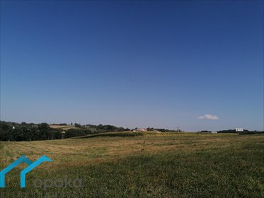 działka na sprzedaż 10052m2 działka Łączka