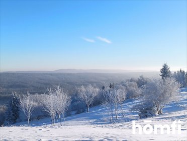 działka na sprzedaż 4300m2 działka Duszniki-Zdrój, Zieleniec, Zieleniec