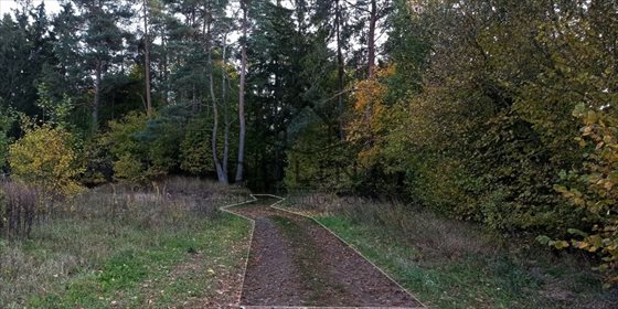 Działka budowlana na sprzedaż Gdańsk, Bysewo, Grzybowa 4 080m2 Foto 7