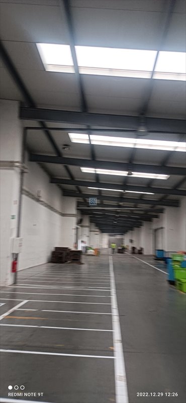 lokal użytkowy na wynajem 3011m2 lokal użytkowy Lipova