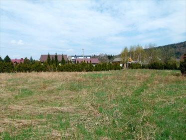 Działka inwestycyjna na sprzedaż Kozubnik 5 800m2 Foto 6