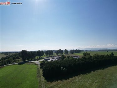 Działka inwestycyjna 8 235 m² przy drodze asfaltowej - Nowy Targ działka Nowy Targ, Jana Pawła II