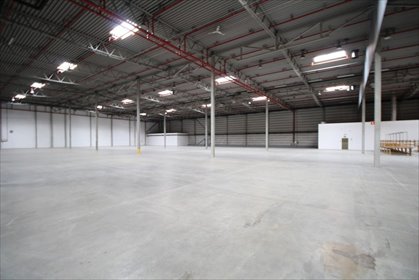 magazyn na wynajem 4600m2 magazyn Warszawa, Targówek, Staniewicka