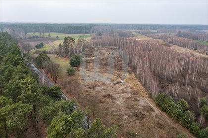Działka rolna na sprzedaż Ręczaje Polskie 23 700m2 Foto 5