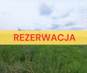 działka na sprzedaż 3122m2 działka Pszów, Krzyżkowice