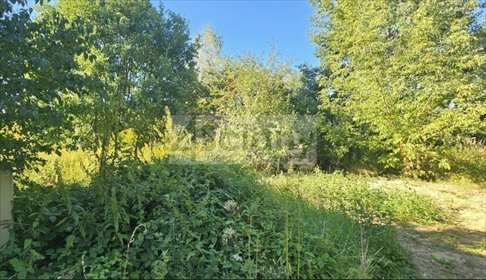 Na sprzedaż działka 1066 m² w Ruscu z mediami i lasem działka Rusiec