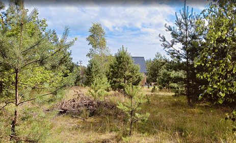 działka na sprzedaż 1001m2 działka Olpuch, Olpuch, Nowa Kiszewa
