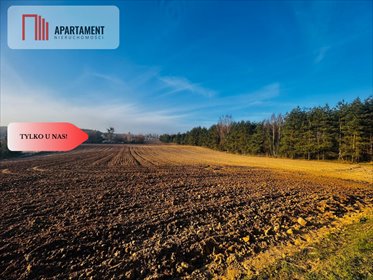 Działki budowlane w Czarne Małe - spokój i natura działka Czarne Małe