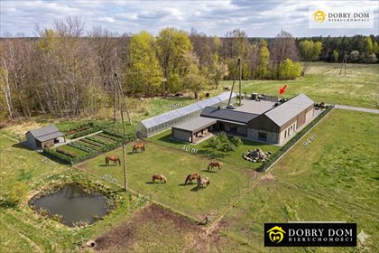 Działka 4933 m² z domem i stawem w Pasynkach działka Pasynki