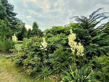 działka na sprzedaż 350m2 działka Łódź, Górna, Wazów