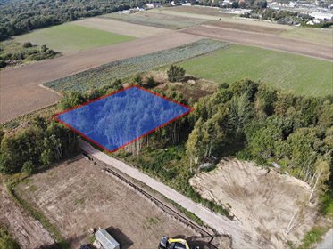 Działka 1200 m² w Stare Bielice z warunkami zabudowy - polecam! działka Stare Bielice, Rumiankowa