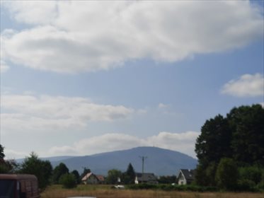 Działka budowlana na sprzedaż Leśna 7 700m2 Foto 1