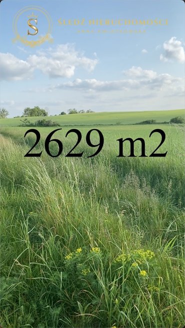 działka na sprzedaż 2629m2 działka Wołów