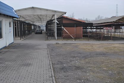 Działka inna pod dzierżawę Mysłowice 13 000m2 Foto 5