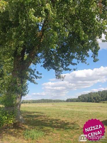 działka na sprzedaż 1561m2 działka Złotów, Święta
