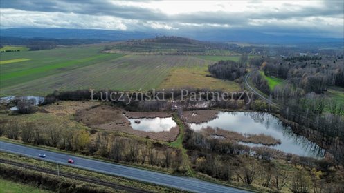 działka na sprzedaż 211190m2 działka Krzewie Wielkie