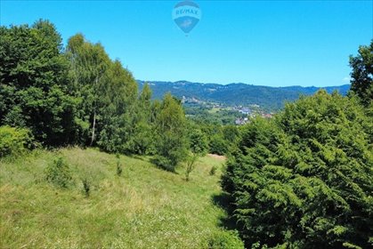 działka na sprzedaż 2900m2 działka Gilowice